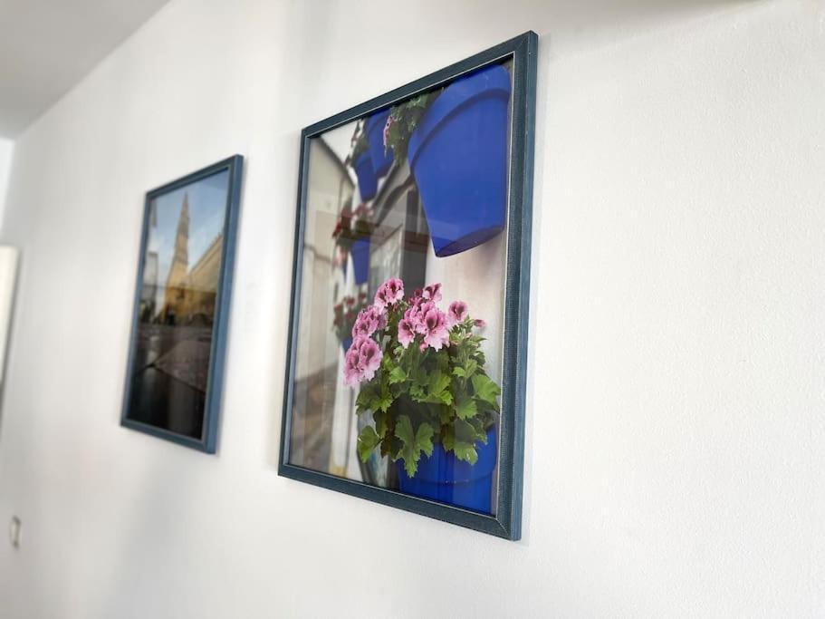 Apartamento Centrico Urbano Con Terraza Córdoba Eksteriør billede